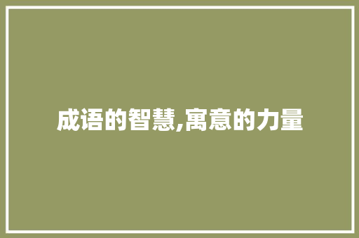 成语的智慧,寓意的力量