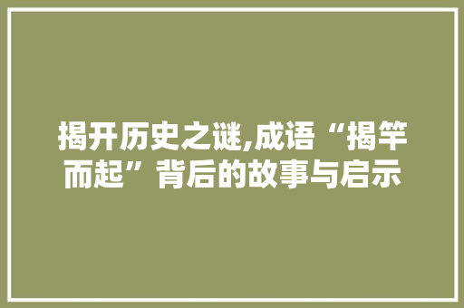揭开历史之谜,成语“揭竿而起”背后的故事与启示