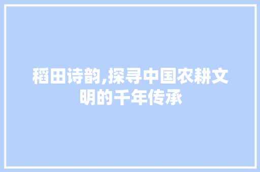 稻田诗韵,探寻中国农耕文明的千年传承