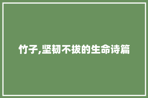 竹子,坚韧不拔的生命诗篇