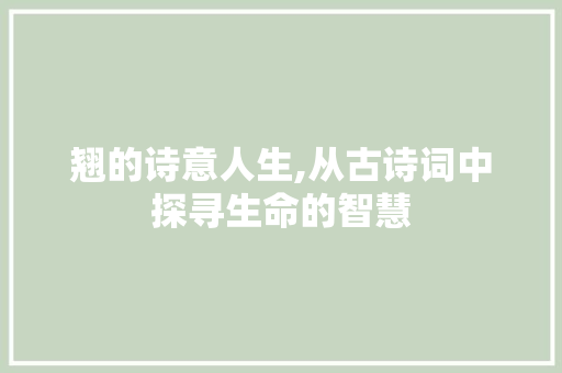 翘的诗意人生,从古诗词中探寻生命的智慧