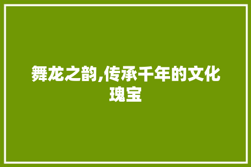 舞龙之韵,传承千年的文化瑰宝