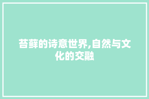 苔藓的诗意世界,自然与文化的交融