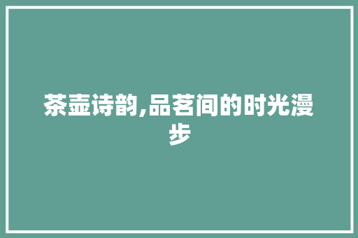 茶壶诗韵,品茗间的时光漫步