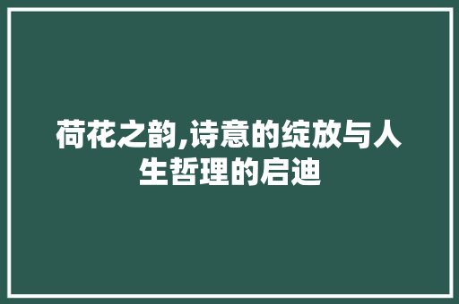 荷花之韵,诗意的绽放与人生哲理的启迪