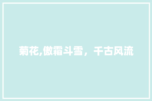 菊花,傲霜斗雪，千古风流