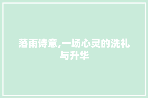 落雨诗意,一场心灵的洗礼与升华