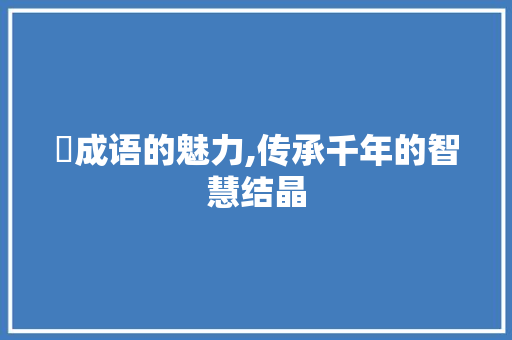 褧成语的魅力,传承千年的智慧结晶