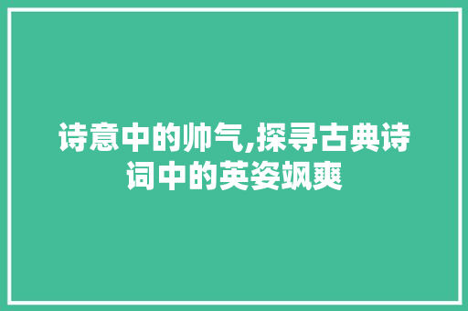 诗意中的帅气,探寻古典诗词中的英姿飒爽