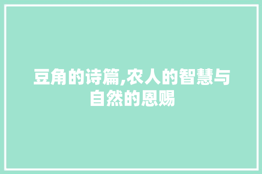 豆角的诗篇,农人的智慧与自然的恩赐