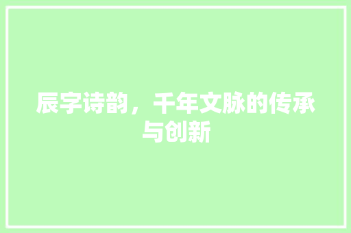 辰字诗韵，千年文脉的传承与创新