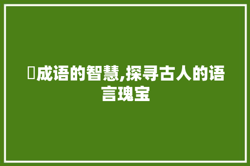 雰成语的智慧,探寻古人的语言瑰宝