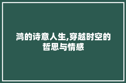 鸿的诗意人生,穿越时空的哲思与情感