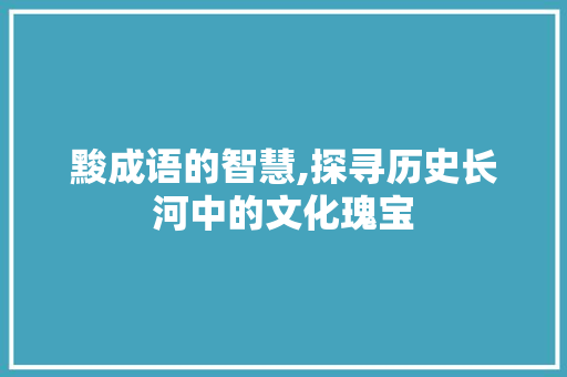 黢成语的智慧,探寻历史长河中的文化瑰宝