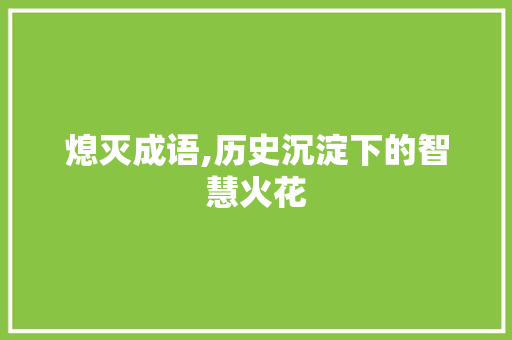 熄灭成语,历史沉淀下的智慧火花