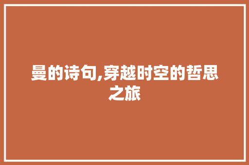 曼的诗句,穿越时空的哲思之旅