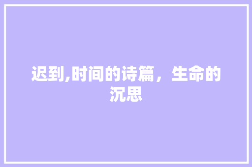 迟到,时间的诗篇，生命的沉思
