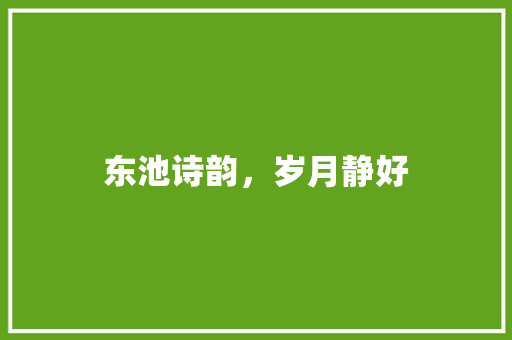 东池诗韵，岁月静好