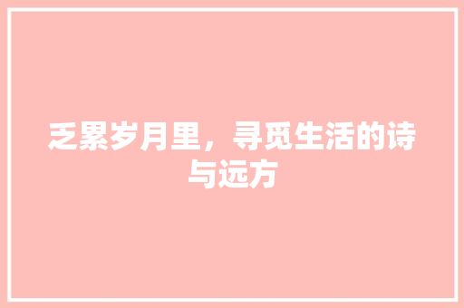 乏累岁月里，寻觅生活的诗与远方