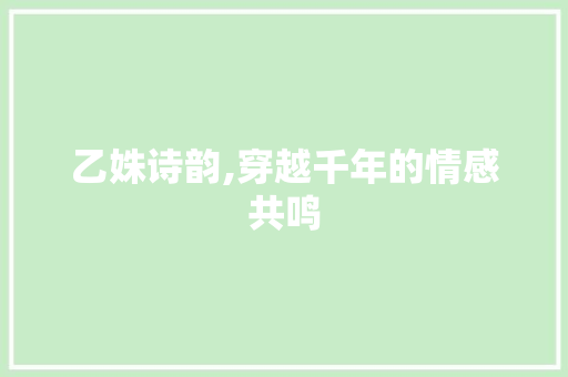 乙姝诗韵,穿越千年的情感共鸣