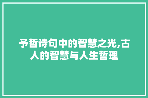 予哲诗句中的智慧之光,古人的智慧与人生哲理