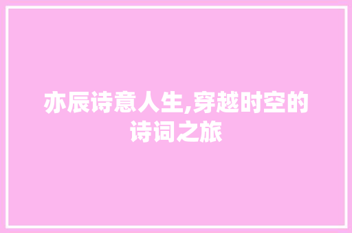 亦辰诗意人生,穿越时空的诗词之旅