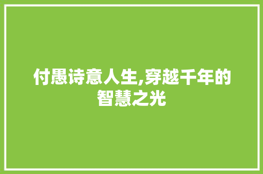 付愚诗意人生,穿越千年的智慧之光