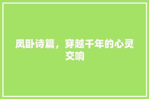凤卧诗篇，穿越千年的心灵交响