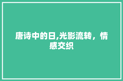 唐诗中的日,光影流转，情感交织