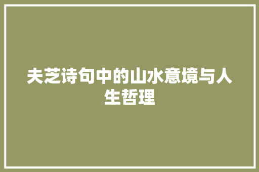 夫芝诗句中的山水意境与人生哲理