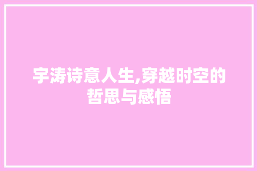 宇涛诗意人生,穿越时空的哲思与感悟