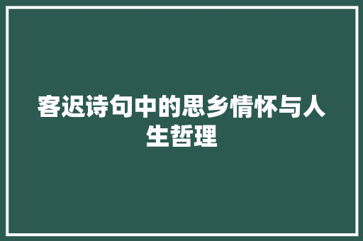 客迟诗句中的思乡情怀与人生哲理
