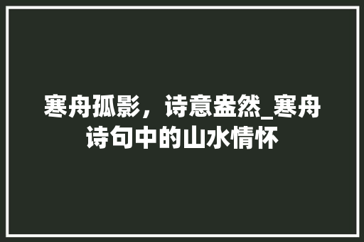 寒舟孤影，诗意盎然_寒舟诗句中的山水情怀