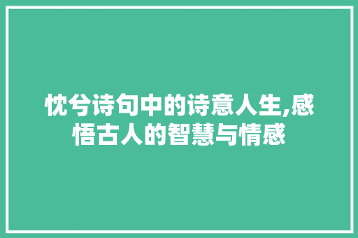 忱兮诗句中的诗意人生,感悟古人的智慧与情感