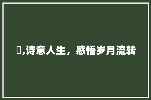 揳,诗意人生，感悟岁月流转