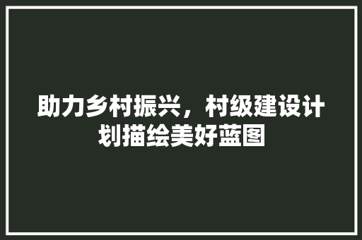 助力乡村振兴，村级建设计划描绘美好蓝图