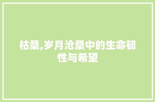 枯桑,岁月沧桑中的生命韧性与希望