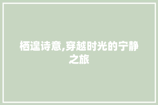 栖遑诗意,穿越时光的宁静之旅