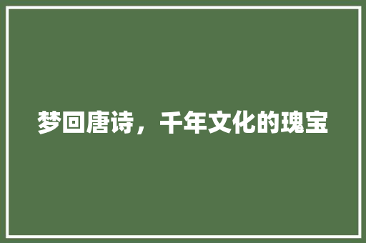 梦回唐诗，千年文化的瑰宝