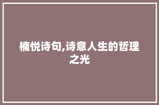 楠悦诗句,诗意人生的哲理之光