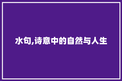 水句,诗意中的自然与人生
