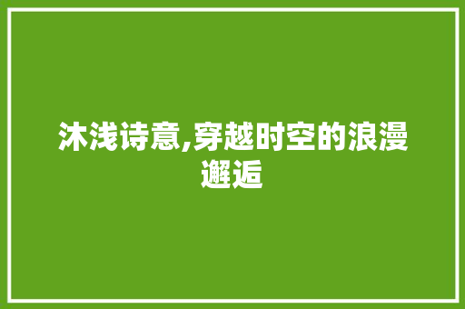 沐浅诗意,穿越时空的浪漫邂逅