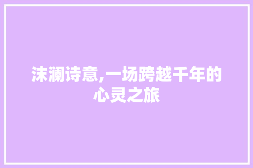 沫澜诗意,一场跨越千年的心灵之旅