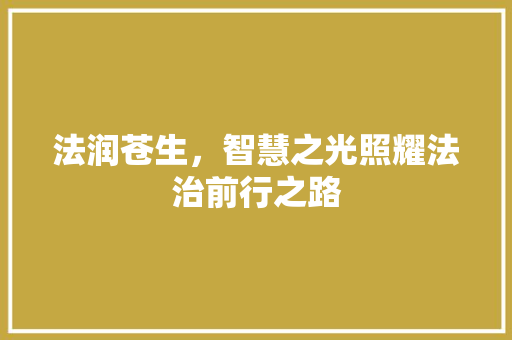 法润苍生，智慧之光照耀法治前行之路