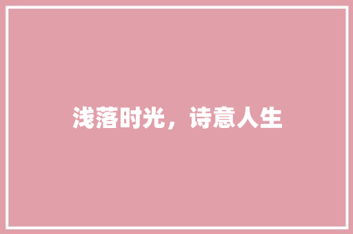 浅落时光，诗意人生
