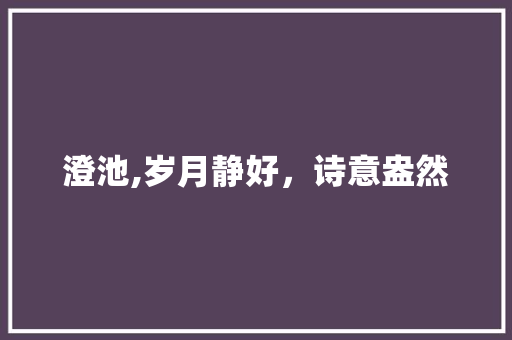 澄池,岁月静好，诗意盎然