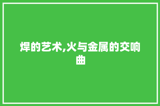 焊的艺术,火与金属的交响曲