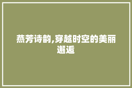 燕芳诗韵,穿越时空的美丽邂逅