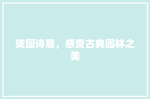 珑园诗意，感受古典园林之美