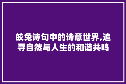 皎兔诗句中的诗意世界,追寻自然与人生的和谐共鸣